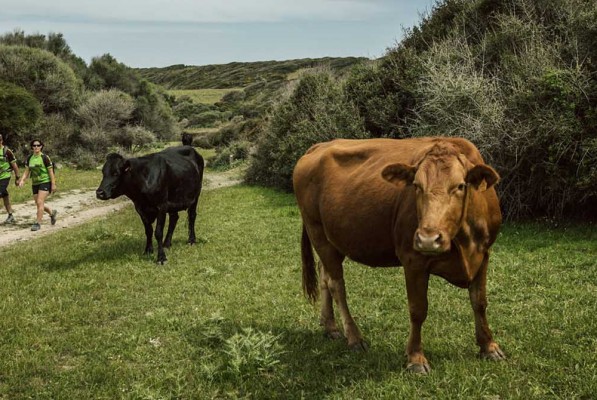 Camí de Cavalls 360º