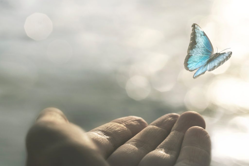 Centre de Mindfulness de Barcelona