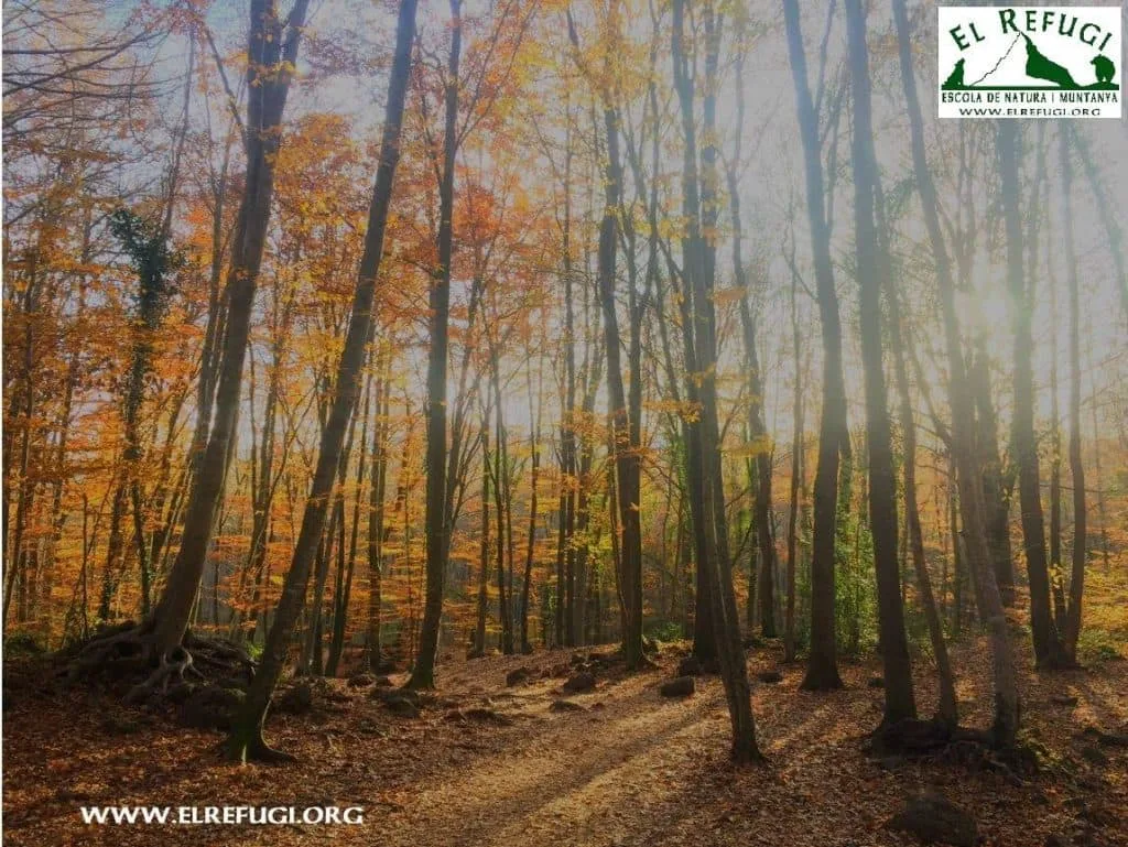 El Refugi Escola de Natura i Muntanya