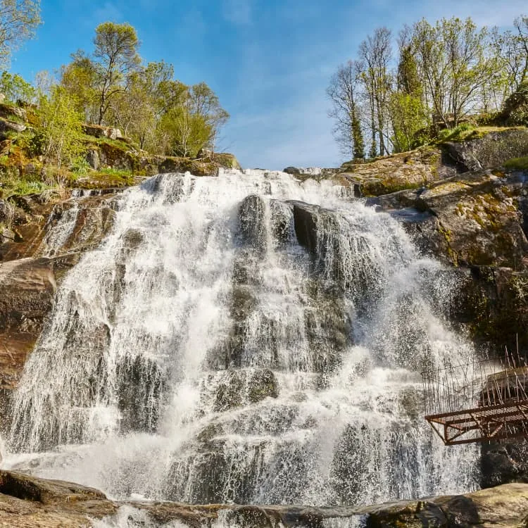Gorrión Ecoturismo