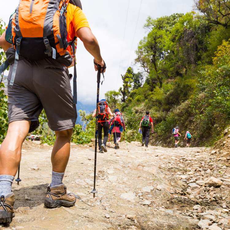 Gorrión Ecoturismo