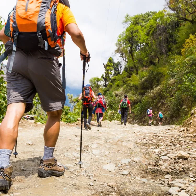 Gorrión Ecoturismo