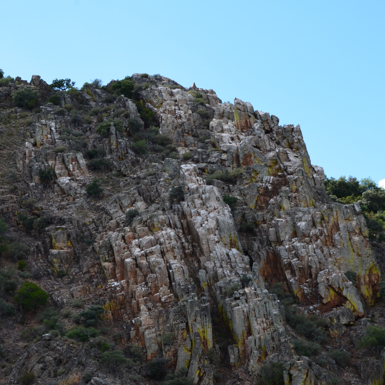 Gorrión Ecoturismo