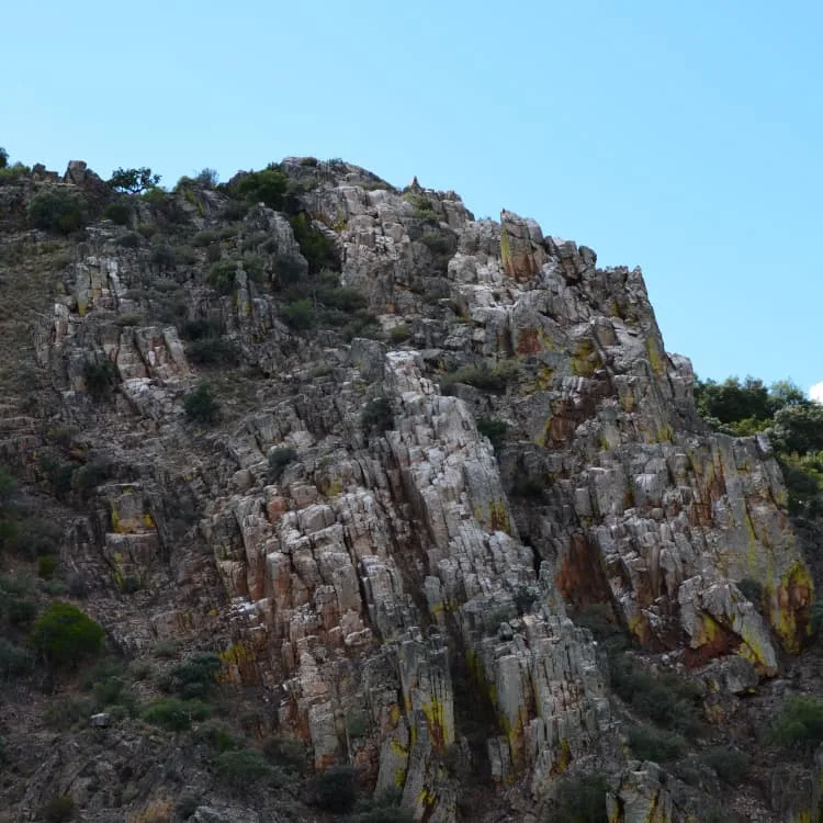 Gorrión Ecoturismo