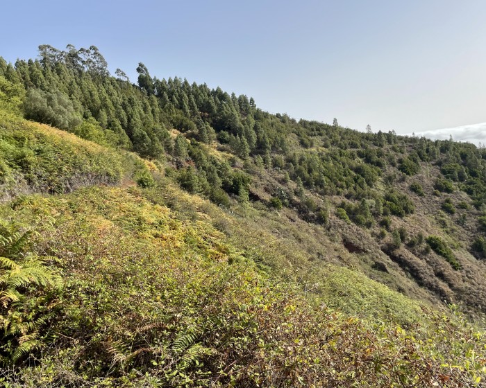 Hiking World Gran Canaria