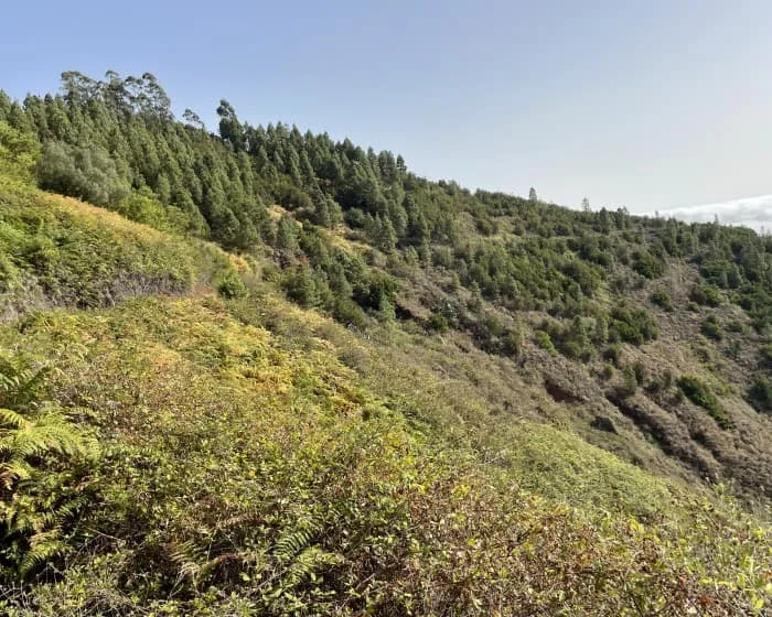 Hiking World Gran Canaria