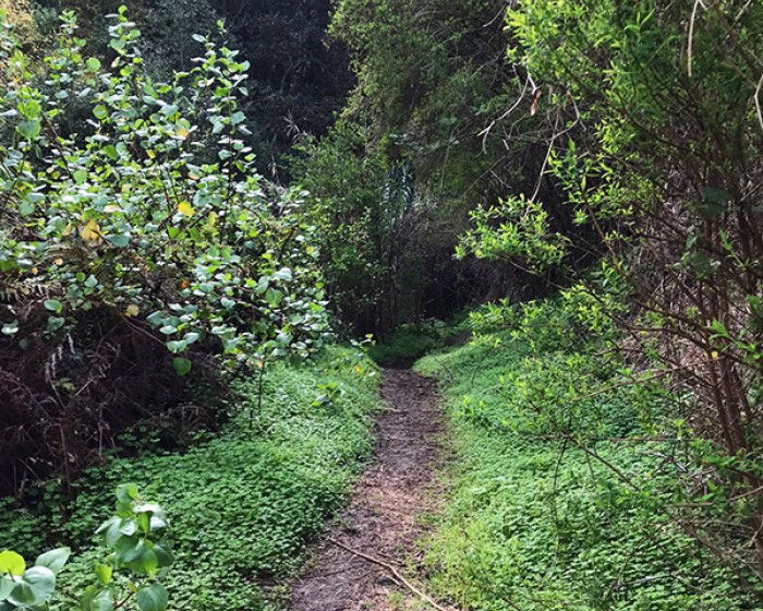 Hiking World Gran Canaria