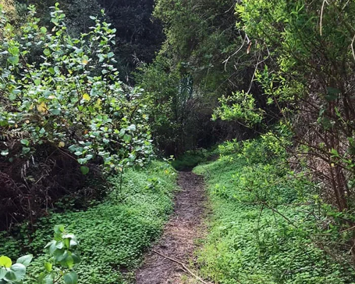 Hiking World Gran Canaria