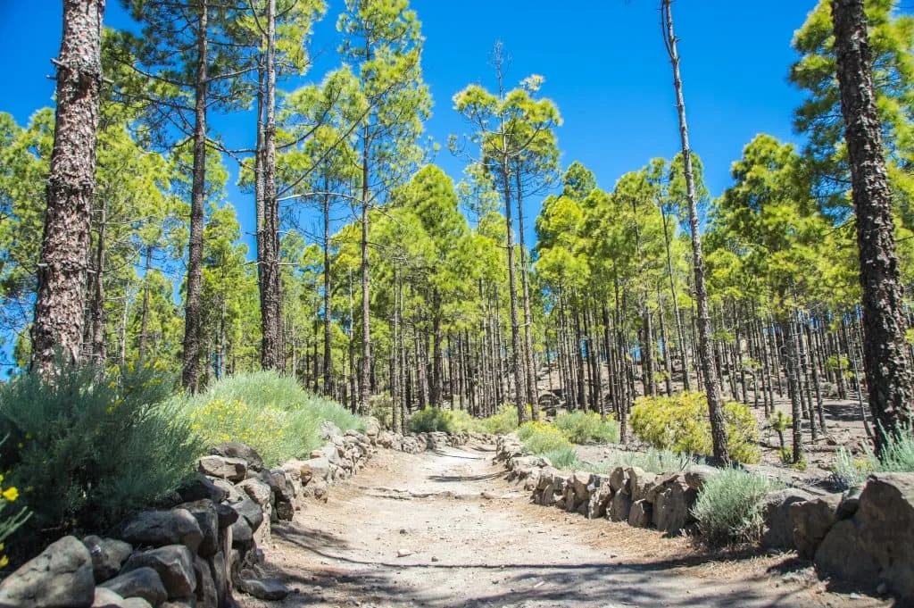 Hiking World Gran Canaria