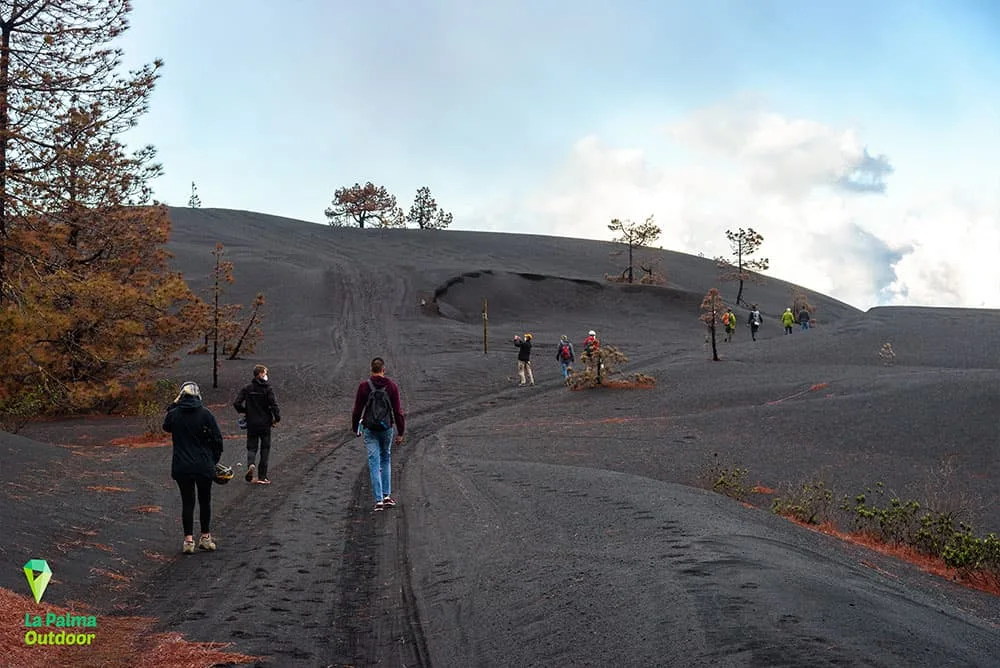 La Palma Outdoor