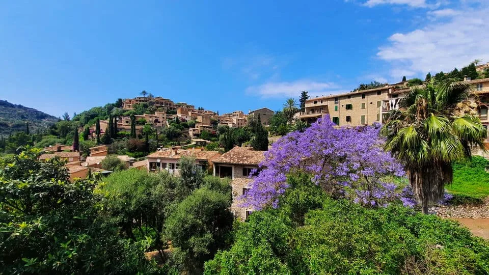 Mallorca Muntanya