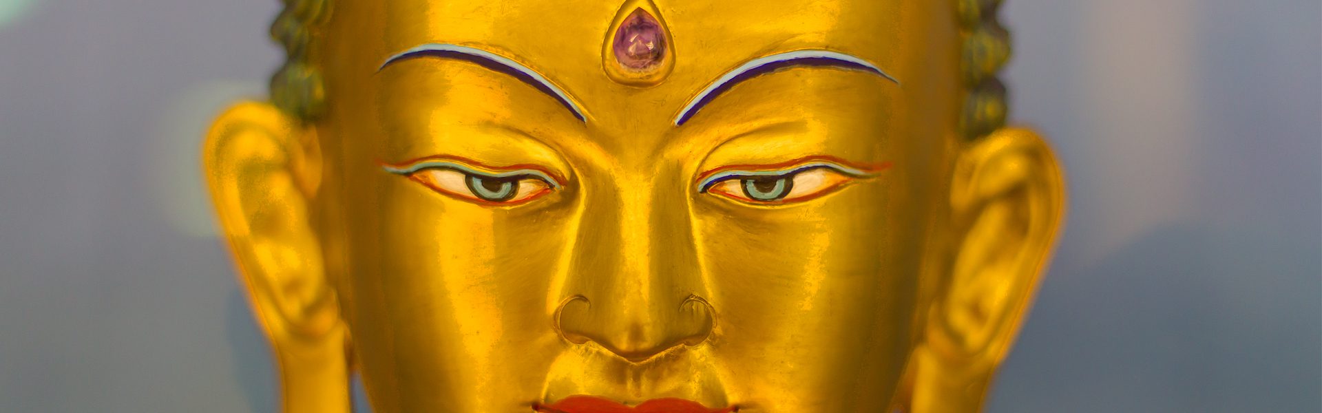 Nagarjuna Valencia