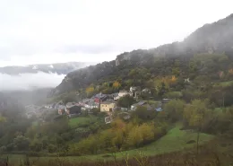 Naturaliste