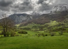 Naturaliste