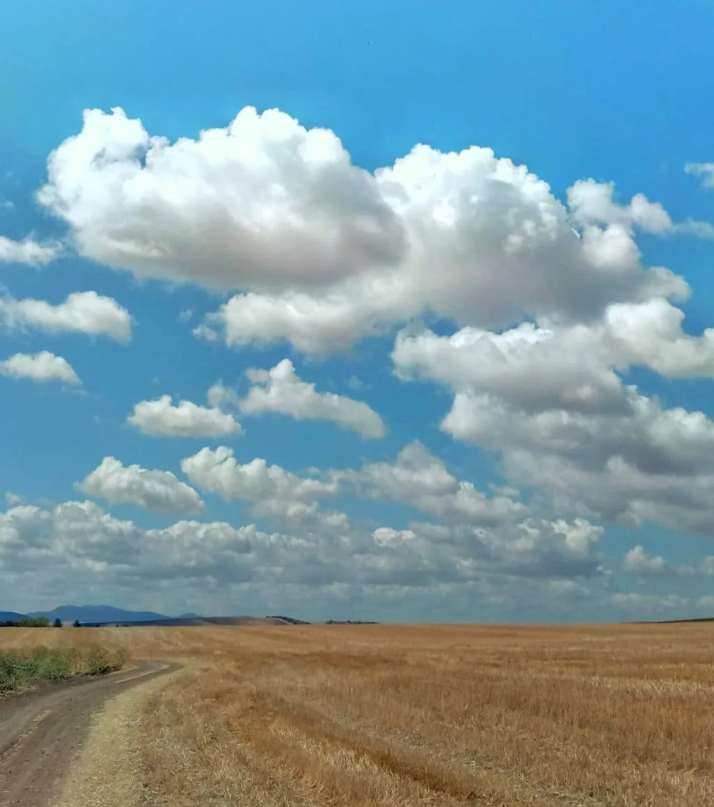 Rutas My Way