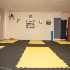 Sadhaka Yoga