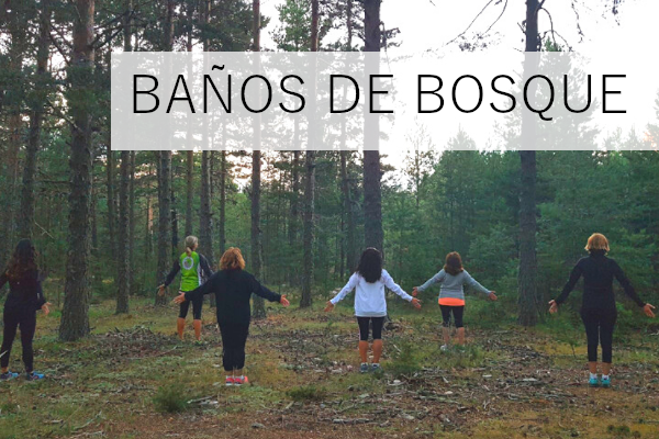 TGuio - Turismo en el Maestrazgo