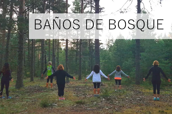 TGuio - Turismo en el Maestrazgo