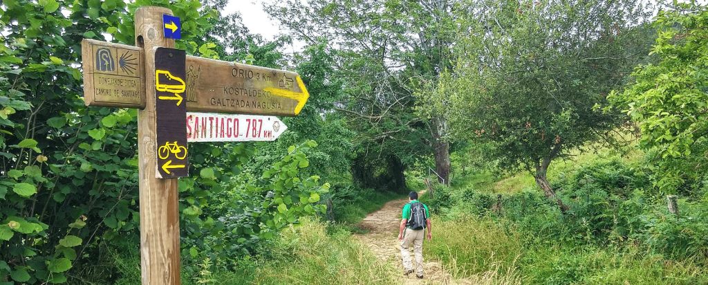 Walking North Spain