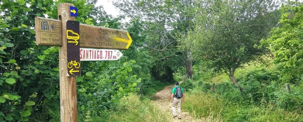 Walking North Spain
