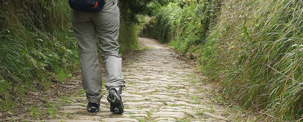 Walking North Spain