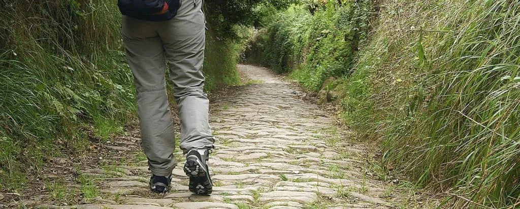 Walking North Spain